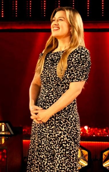 Songs and Stories with Kelly Clarkson leopard Dress